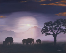 464-elefantes-en-medio-de-la-niebla
