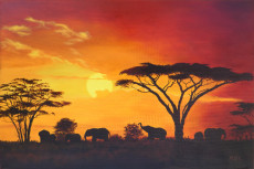 480-elefantes-en-el-horizonte