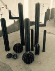 cactus-factory