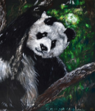 pandabar