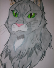green-eyes-cat