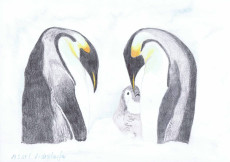 pinguine-familie