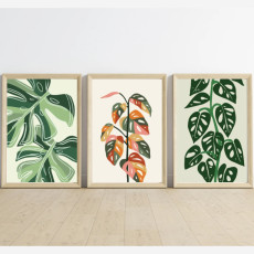 trio-affiches-collection-plante