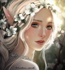 princesse-elfique