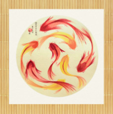 koi-fish-shoal