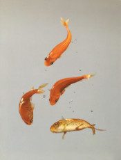 ballet-des-poissons