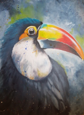 toucan