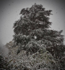 un-paris-sous-la-neige