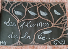 les-plumes-de-la-vie