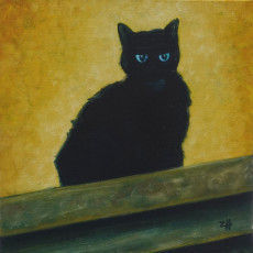 il-gatto-dospedaletti-3