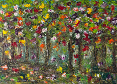 eclats-dun-sous-bois-enchante