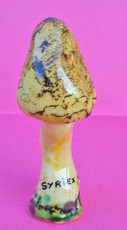 champignon-hygrophorus-blond