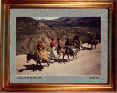 maroc-caravane-de-mulets-1999
